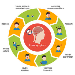 Infographics for stroke vector