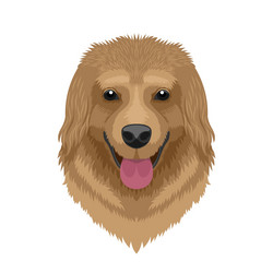 smiling golden retriever dog with open mouth vector