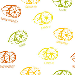 Citrus seamless pattern background vector