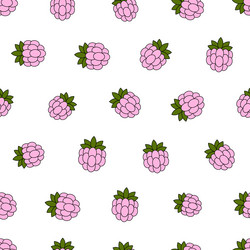 raspberry seamless pattern endless background vector image
