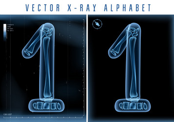 blue 3d x ray style alphabet Vector Image