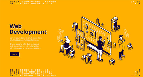 Isometric Web Development Coding vector image