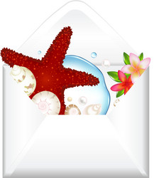 Open envelope with starfish and flowers vector