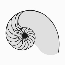 Nautilus Shell - Fibonacci Spiral vector image