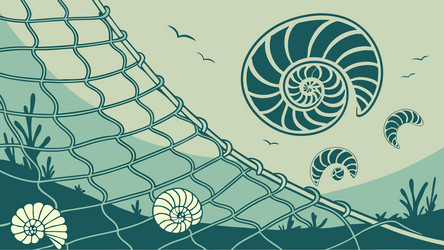 spiral shell in spiderweb abstract aquatic net vector image