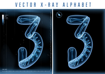 blue 3d x ray style alphabet Vector Image