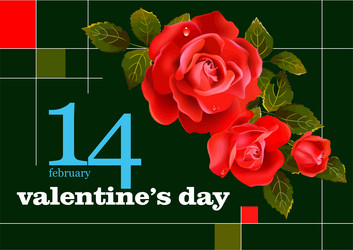 Valentine s day background with rose flower 3d vector