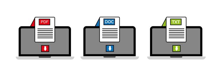 file name extension pdf doc and txt type vector image