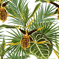 Tropical Orchid Pattern Vector Image