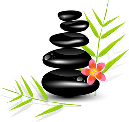 Tropical spa stones massage plumeria Royalty Free Vector
