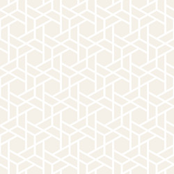 Subtle Hexagonal Pattern vector image