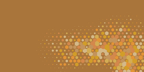 geometric multi size hexagon with color vector