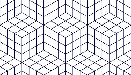 Geometric Cube Pattern vector image