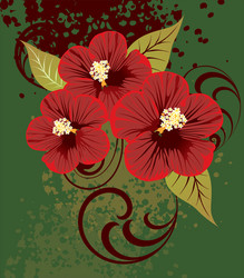 01 hibiscus vector image