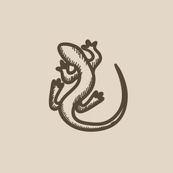 Salamander hand drawn sketch icon Royalty Free Vector Image