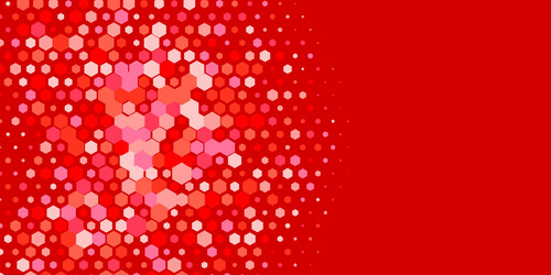 geometric multi size hexagon with color vector