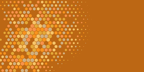 geometric multi size hexagon with color vector image