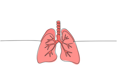 one continuous line drawing of anatomical human vector