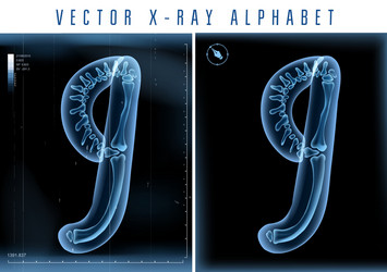 blue 3d x ray style alphabet Vector Image