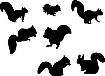 Squirrel Silhouette Vector Image