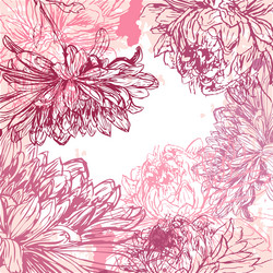 Floral Chrysanthemum Background Vector Image