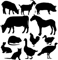 Animal Silhouettes Vector Image