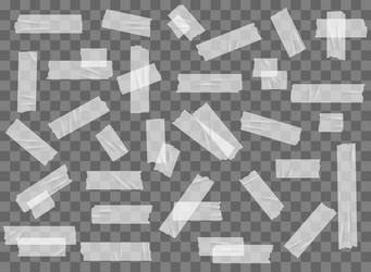 realistic adhesive tape sticky wrinkled paper Vector Image