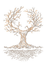 Old Branchy Tree Silhouette Vector Image