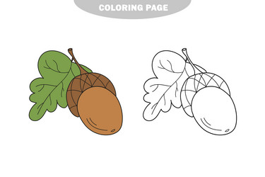 Simple coloring page acorn - game vector