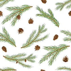 Seamless pattern with pine tree branches and fir vector