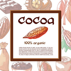 cocoa beans tree banner with mock up for text vector