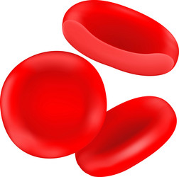 White blood cells Royalty Free Vector Image - VectorStock