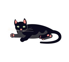 funny black cat vector