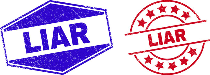 liar distress badges in round and hexagon forms vector image