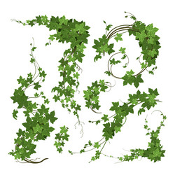 Ivy border seamless composition Royalty Free Vector Image