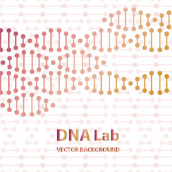 Dna structure double helix on white background Vector Image