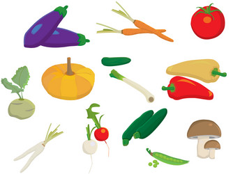 Vegetables vector