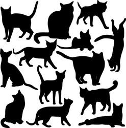 Domestic Cat Silhouettes Vector Image