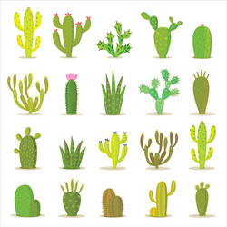 cactus collection vector