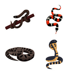 Isolated object of snake and creepy logo vector