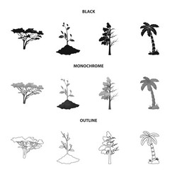 isolated object tree and forest sign set vector image