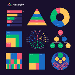 hierarchy infographic chart design template set vector image