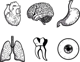 Human Body Parts Vector Images (over 21,000)