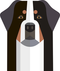 head bernese mountain dog vector