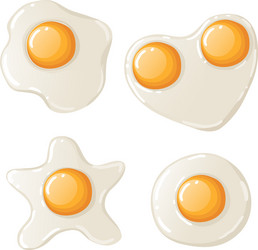 Fried chicken eggs Royalty Free Vector Image - VectorStock