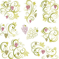 Vine Branch Patterns vector image