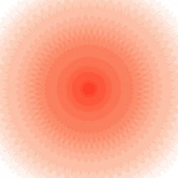 Sunburst rosette with alternating rays of petals vector