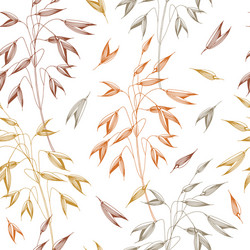 Seamless pattern with spikelets oats vector