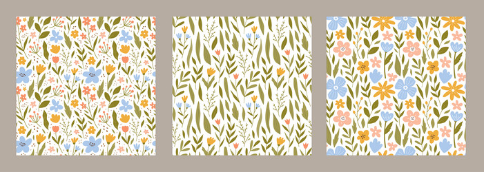 set of botanical seamless patterns vector image