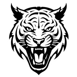 angry tiger growling sketch hand drawn Vector Image